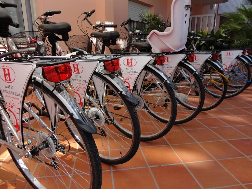 Hotel Conca Verde Lignano Sabbiadoro Kültér fotó